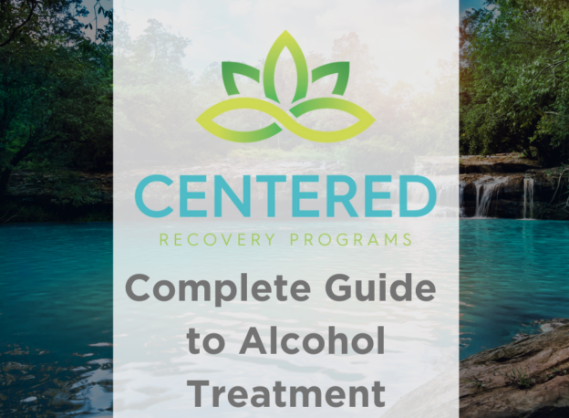 Complete Guide to Alcohol Treatment Options Atlanta Georgia